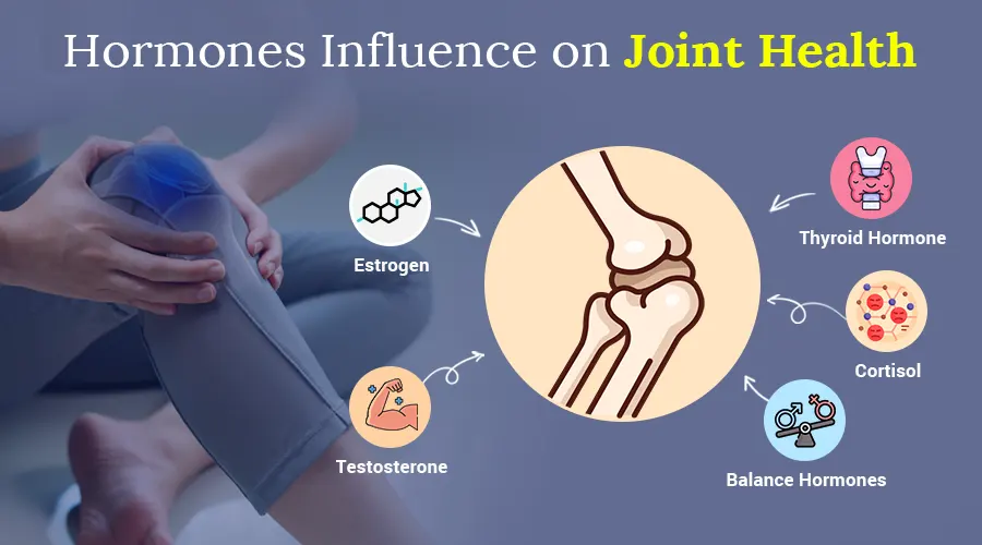 Hormones Influence Joint Health