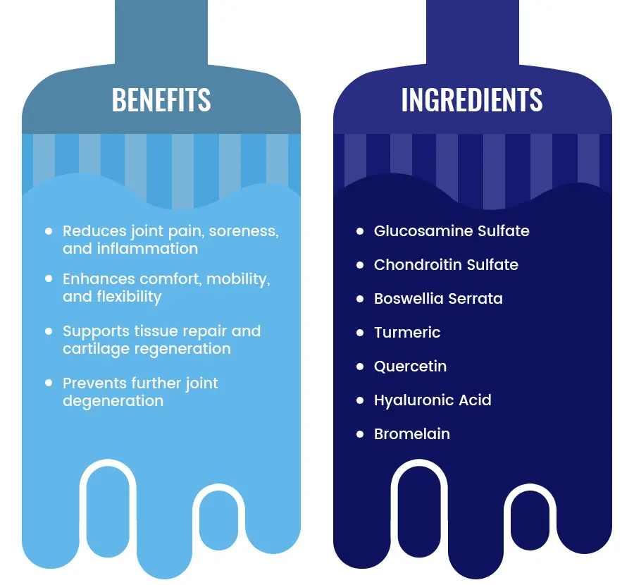 Key Benefits and Ingredients  of JointXL Plus